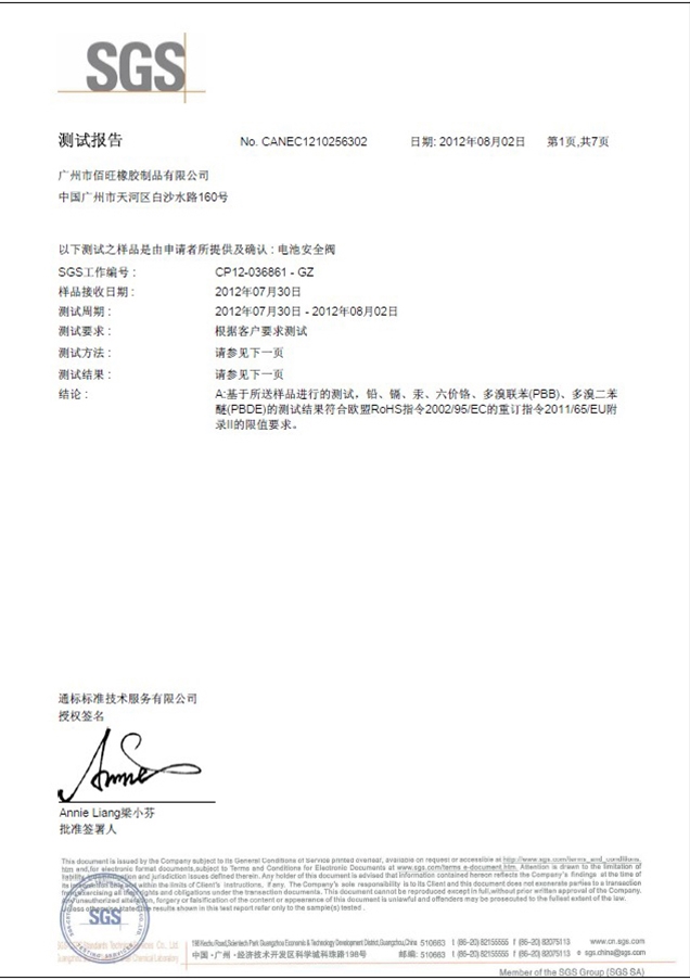 測試報告